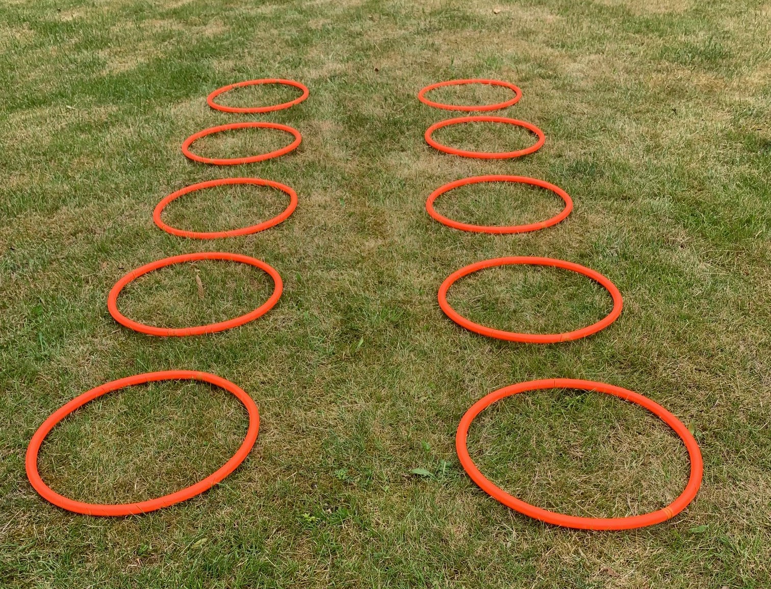 Agility Træningsringe 10 Stk   Fri Fragt   Hurtig Levering