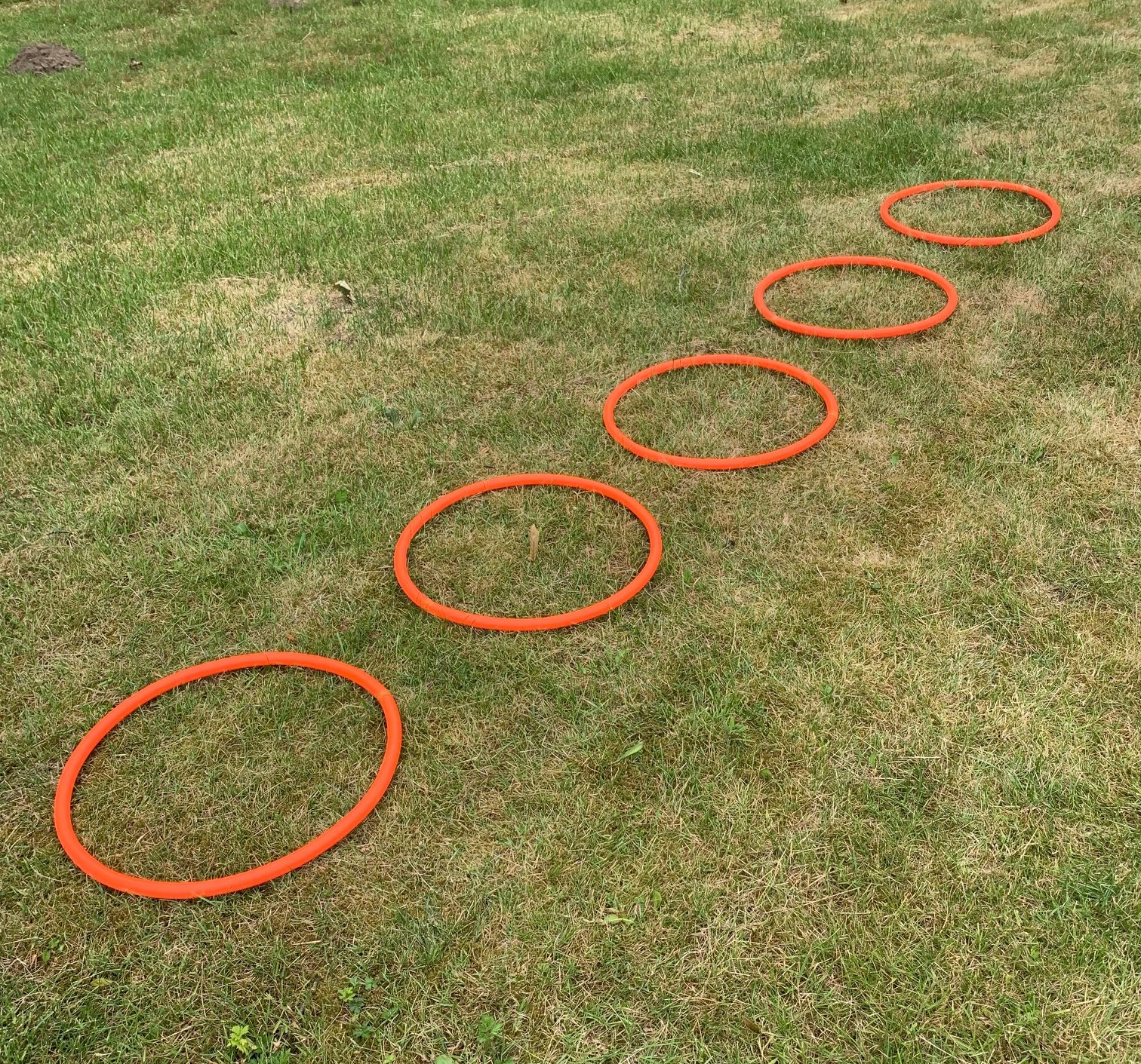 Agility Træningsringe 5 Stk   Fri Fragt   Hurtig Levering