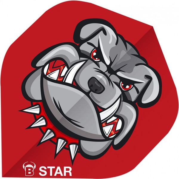 B Star Flights   Bulldog