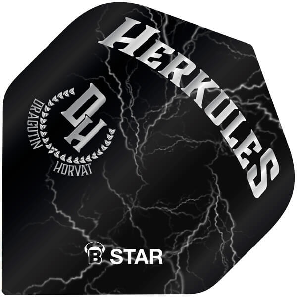 B Star Flights   Dragutin Horvat