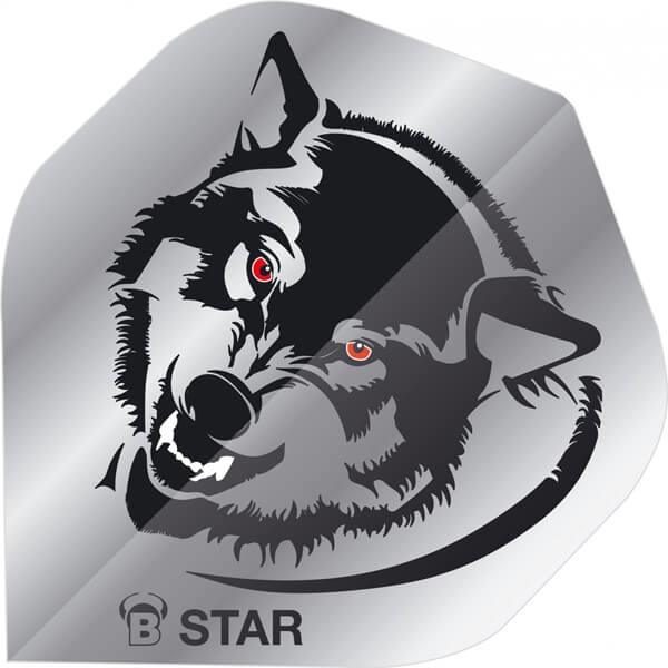B Star Flights   Ulv