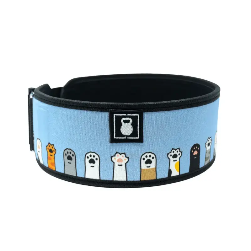 I M Feline Good   Straight Belt Fra 2pood M