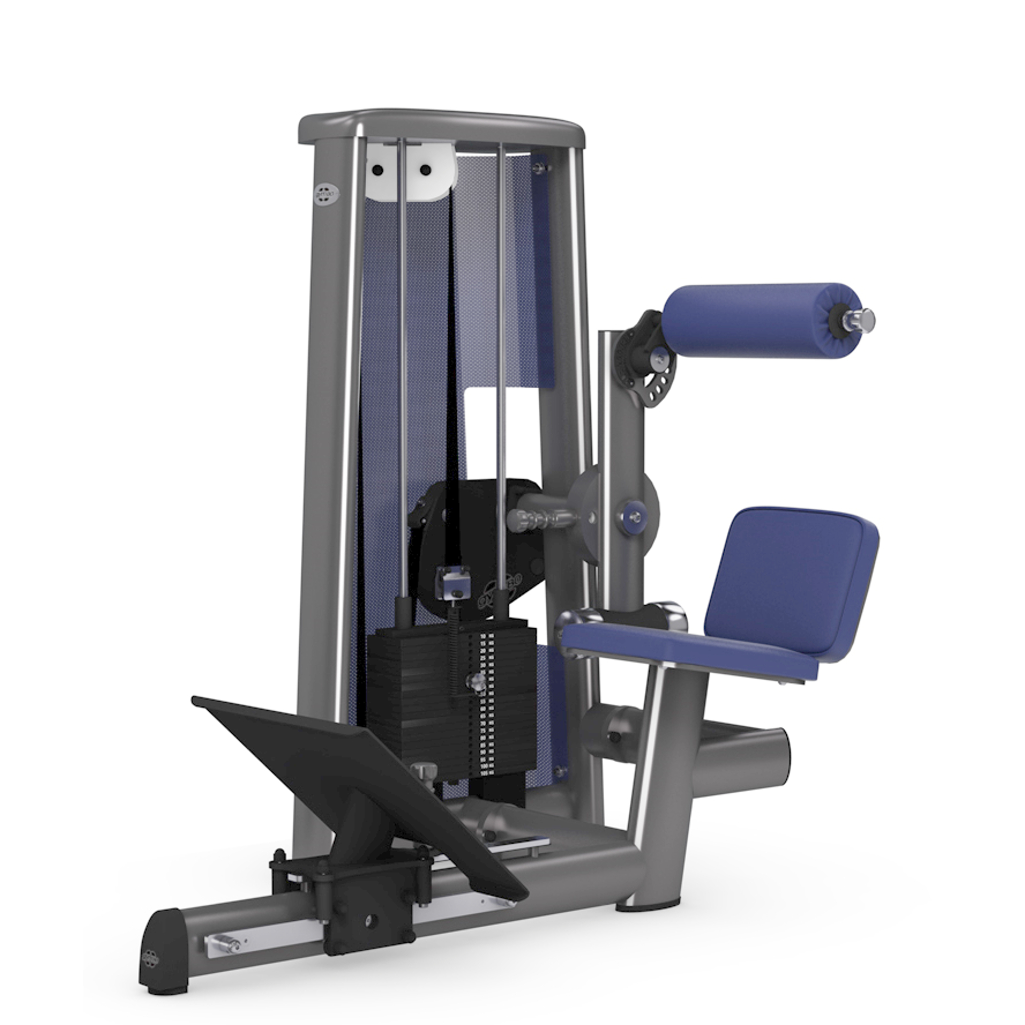 Gym80 Sygnum Lower Back Machine W Adj  Footplate